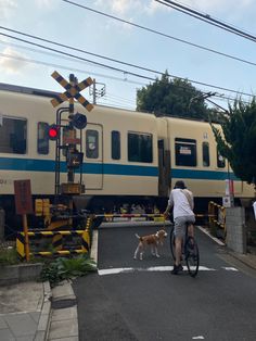 a person riding a bike with a dog on the street in front of a train