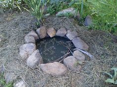 a fire pit made out of rocks in the middle of some grass and plants around it