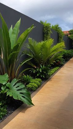 an outdoor garden area with plants and rocks on the ground, along side a black wall