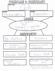 a diagram that shows the structure of compare and contrast in an argument with other words