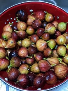 a red bowl filled with lots of ripe figs