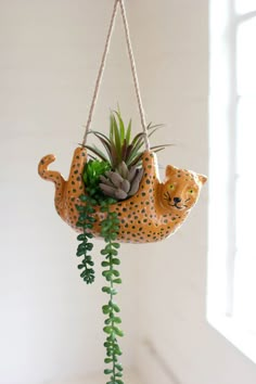 an air plant hanging from a rope with two cats on it's back and plants in the middle