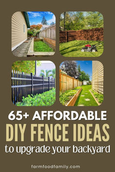 the back yard with pictures of different fences and plants in it, including an image of a