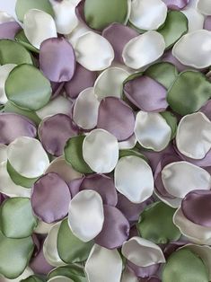 purple and white flowers are arranged together