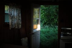 an open door leading into a dark room filled with green plants and grass, next to a window