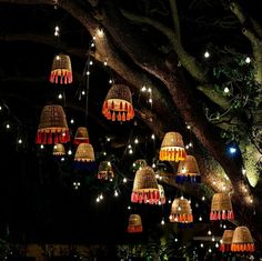 many lights hanging from the branches of trees