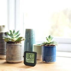 there is a small clock sitting on the table next to some potted plants and succulents