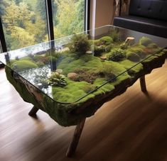 a glass table with moss growing on it in the middle of a room next to a couch