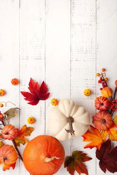 an arrangement of autumn leaves, pumpkins and gourds on a white wooden background