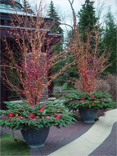 two large planters filled with christmas trees and lights on the side of a road