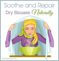 Dry nose, aka dry sinuses, can be very uncomfortable. Worse yet, they can increase your chances of illness. Use these natural remedies to soothe and revive. Dry Nose Remedy, Dry Sinuses, Sinus Allergies, Stuffy Nose Remedy, Dry Nose, Sinus Problems, Cold And Cough Remedies