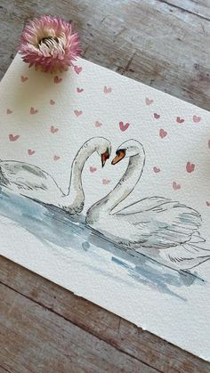 two white swans in water with hearts on the side and one is holding a pink flower