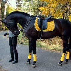 a woman standing next to a black horse with yellow boots on it's feet