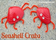 two red crabs with googly eyes sitting on top of a cement floor next to the words seashell crab