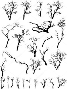 the silhouettes of trees with no leaves on them are shown in black and white