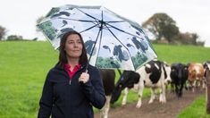 a woman holding an umbrella standing in front of cows on a path with green grass