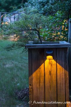 Landscape Lighting Effects: 8 Dramatic Outdoor Lighting Ideas You Must Try In Your Garden Landscape Gardening, Backyard Lighting, Outdoor Garden Decor