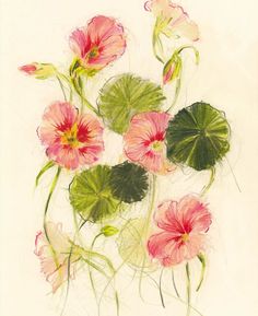 a painting of pink flowers and green leaves