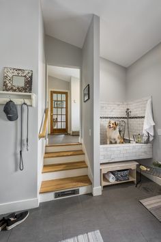 there is a dog sitting on the stairs in this bathroom that has been painted white