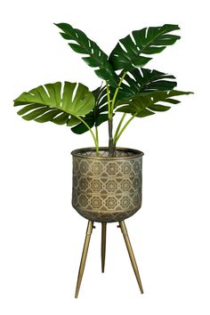 a potted plant sitting on top of a metal stand with leaves growing out of it