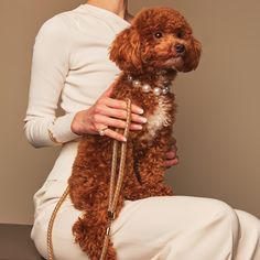 a woman holding a brown poodle in her lap while sitting on a chair with pearls