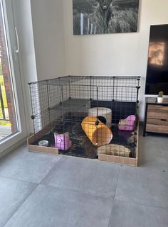 a caged in area with various animal items on the floor and a painting hanging above it