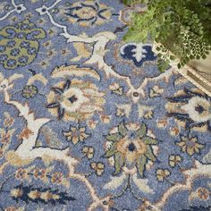 a blue area rug with an ornate design on the floor next to a potted plant