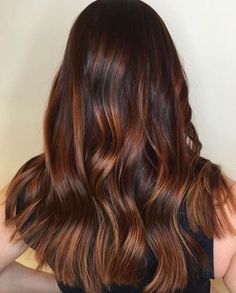 dark brown hair with caramel ombre highlights Hair Highlights Brown, Caramel Ombre Hair, Coffee Brown Hair, Hair Color Brown Chestnut, Caramel Ombre, Chestnut Brown Hair, Chestnut Hair, Chestnut Hair Color, Ombre Highlights