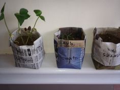 three newspaper bags with plants growing out of them on top of a white shelf next to a wall