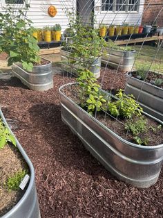 several metal planters filled with plants on top of mulchy ground in front of a house