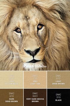 a lion is shown with different colors