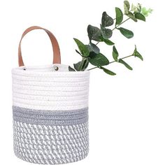 a white and grey basket with a plant in it