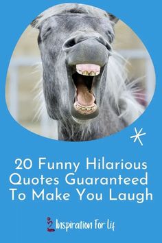 a horse with it's mouth open and the words 20 funny hilarious quotes guaranteed to make