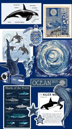 an ocean themed collage with dolphins and other marine creatures in blue, white and black colors