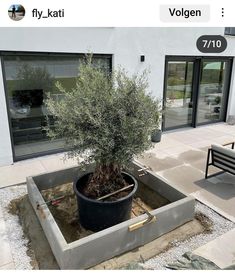 there is a potted plant in the middle of an empty area next to a bench