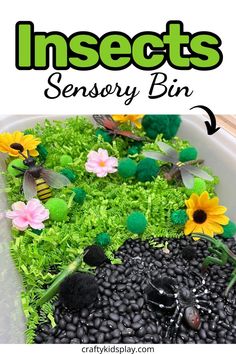 spring sensory bin Sensory Bins For Preschool, Bug Sensory Bin, Preschool Insects Activities, Spring Sensory Bin, Learning Colors Activities, Color Activities For Toddlers, Spring Sensory, Spring Preschool Activities, Sensory Play Toddlers