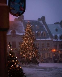 a large christmas tree in front of a building with lights on it's windows