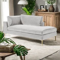 a living room scene with focus on the sofa and plant in the corner, along with an end table