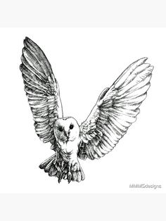 an owl is flying with its wings spread