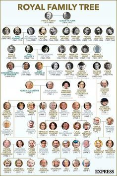 the royal family tree is shown in this poster