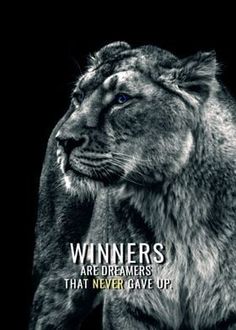 a black and white photo of a lion with the words winners are dreaming that never gave up