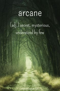 the cover of arcane, with an image of a road in the middle and trees on