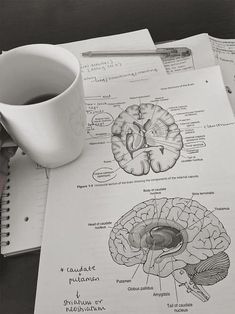 a cup of coffee sitting on top of a table next to some papers with diagrams