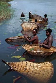 some people are sitting in the water with small bamboo baskets on their heads and one is holding a fish