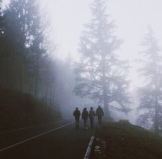 three people walking down a road in the fog