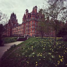 a large building with many windows and lots of flowers on the ground near trees in front of it