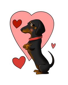 a black and brown dog sitting in front of a heart