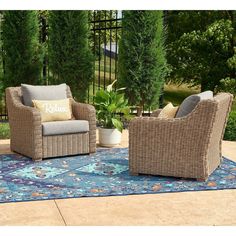 two wicker chairs sitting on top of a blue rug next to a potted plant