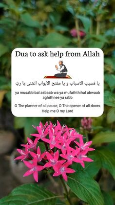 a pink flower in front of green leaves with an information card attached to it that says, dua to ask help from allaah