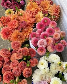 several buckets filled with different colored flowers sitting on the ground next to each other